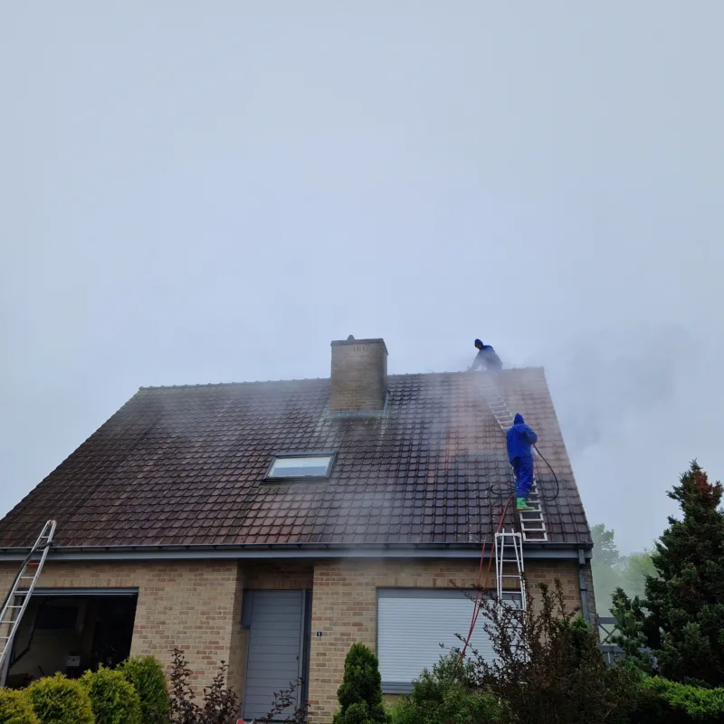 Dakreiniging Anzegem