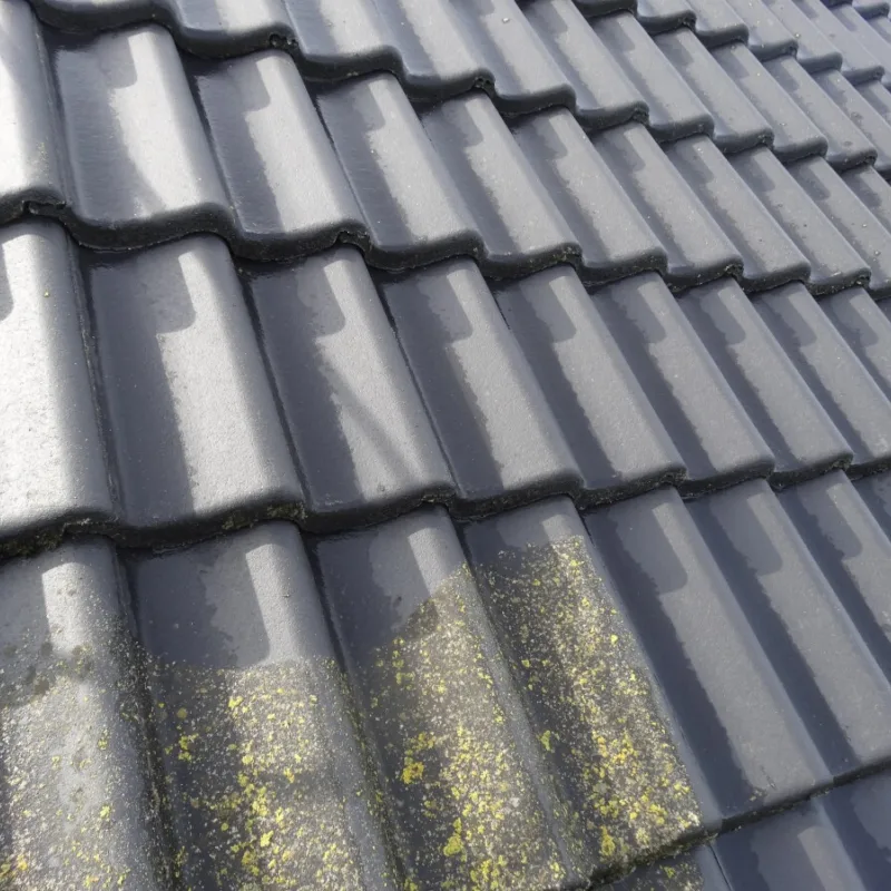 Dak ontmossen en reinigen boomse dakpan 2