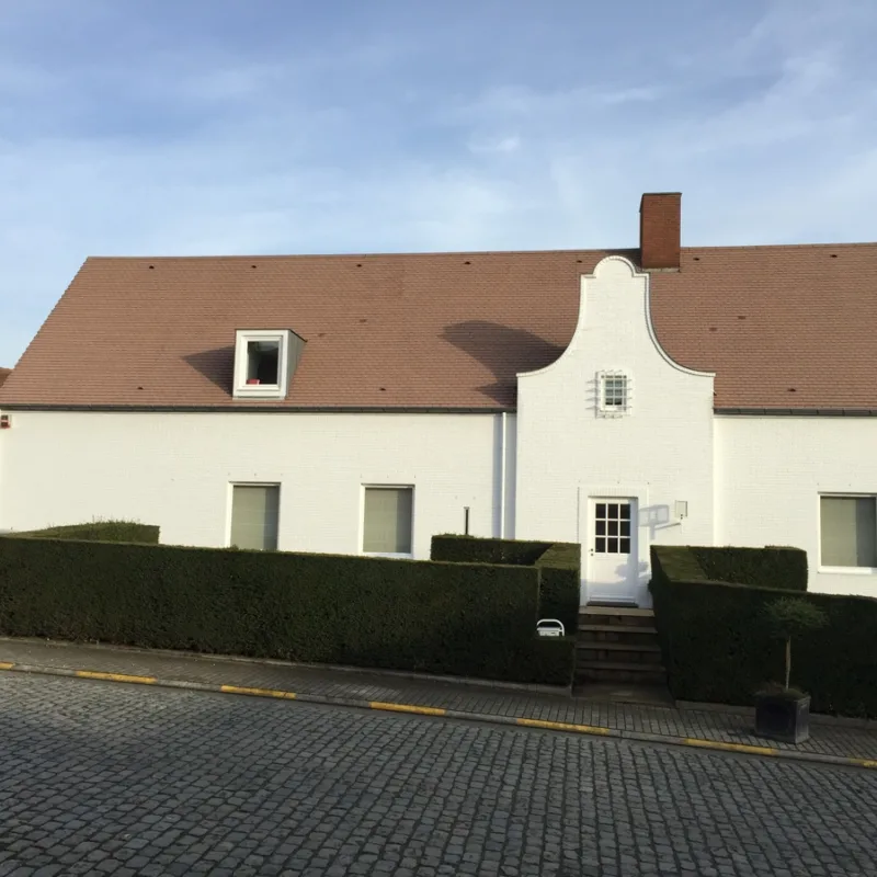 Dak ontmossen en reinigen nokere 4