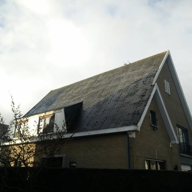 Dak ontmossen imitatielei 2