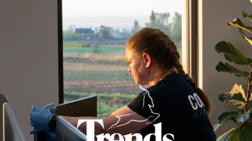 Comfort Cleaning genomineerd voor Trends Gazellen 2025